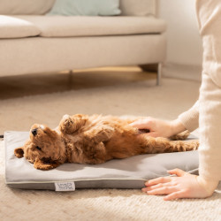 Beurer PP210 Lilli állat melegítőpárna 41 x 34 cm PP 210