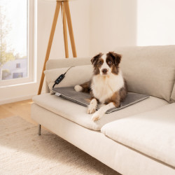 Beurer PP220 Sammy állat melegítőpárna 65 x 50 cm
