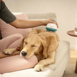 BEURER PP410 állat masszírozó - akkumulátoros pp 410