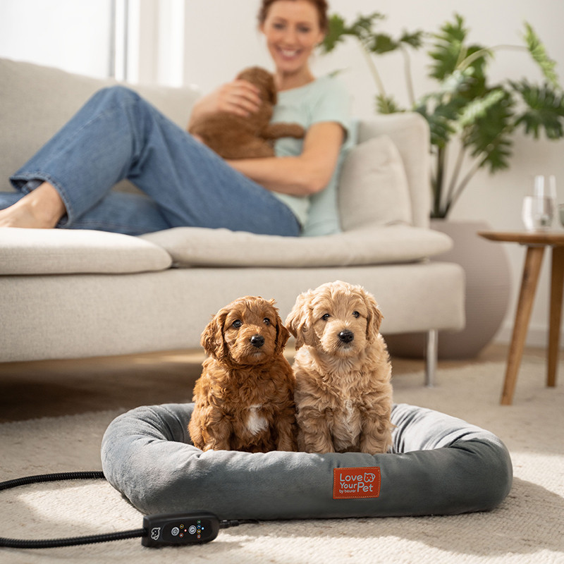 Beurer PP250 Kira melegíthető állat fekhely 58 x 50 cm PP 250