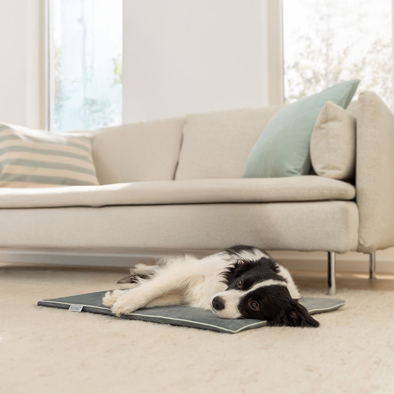 Beurer PP220 Sammy állat melegítőpárna 65 x 50 cm