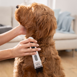 Beurer PP 110 akkumulátoros állatszőrnyíró